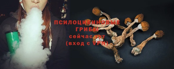 твердый Алексин