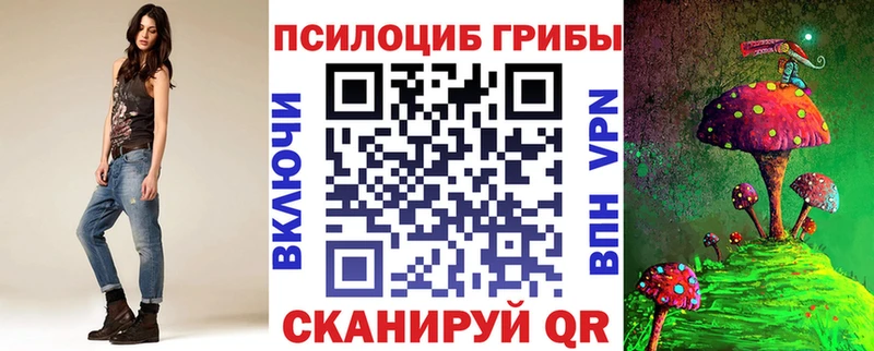 kraken зеркало Трёхгорный Псилоцибиновые грибы Psilocybe