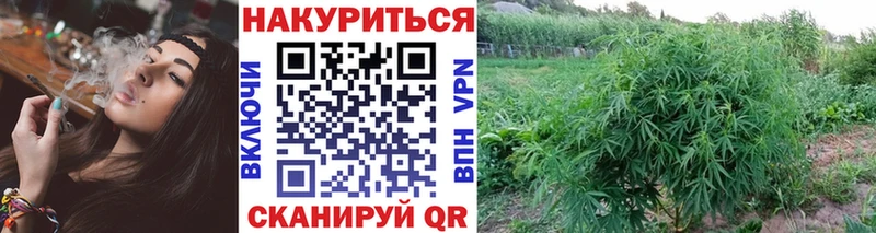 Бошки Шишки конопля где купить наркотик Трёхгорный